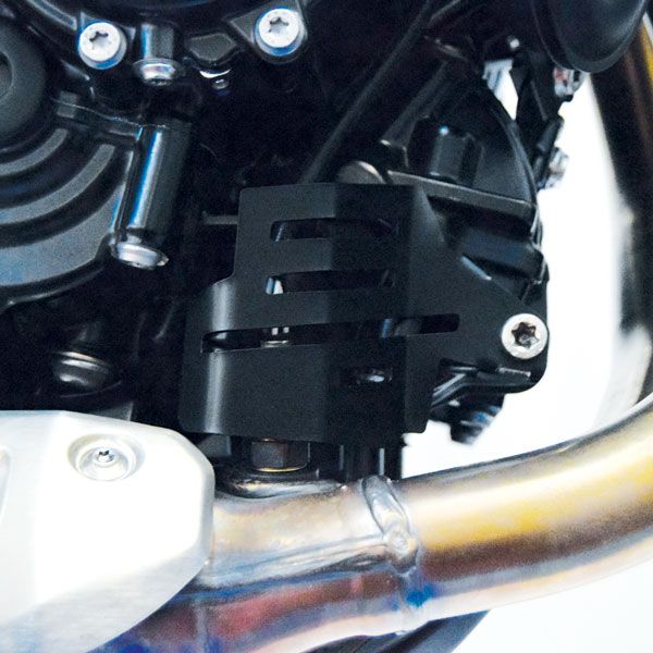 Abdeckung Lambdasonde für BMW F 850 GS (18-22), Edelstahl, schwarz