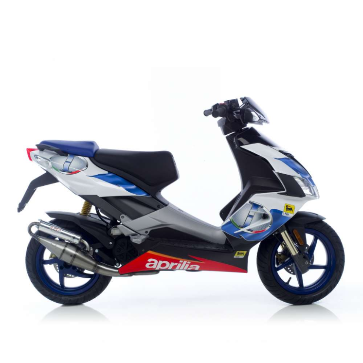 LeoVince Auspuffanlage Hand Made TT, Stahl, Full System für Aprilia / Piaggio