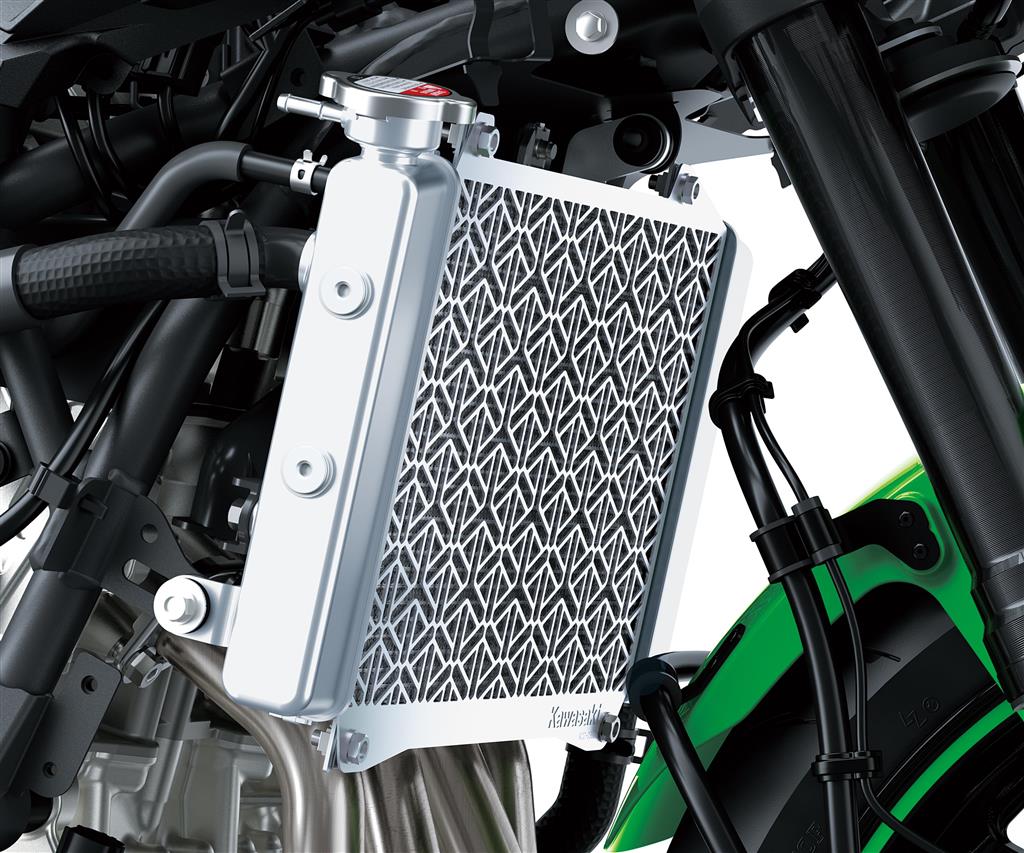 Kühlerschutz für Kawasaki Ninja ZX-4RR (24-) Original