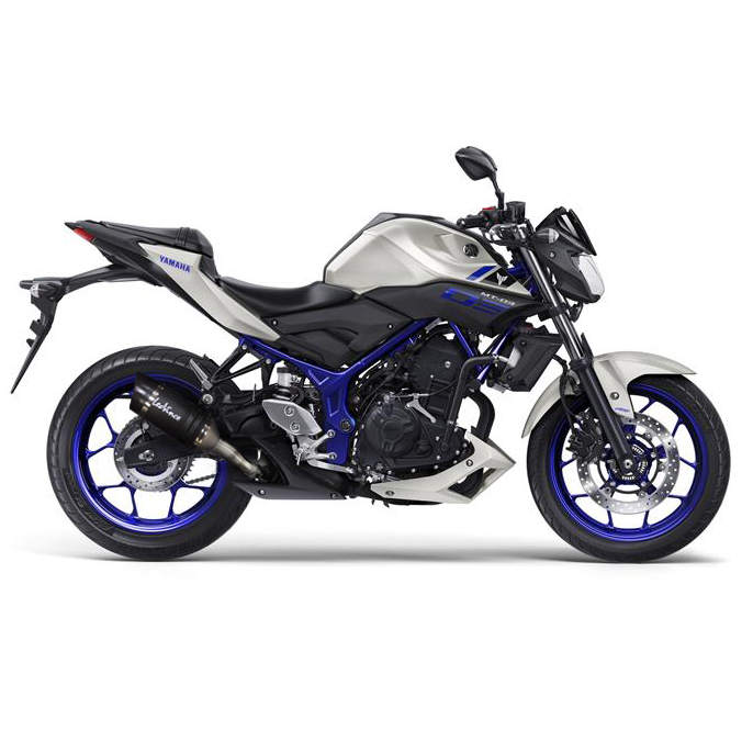 LeoVince Auspuffanlage LV Pro, Carbon, Slip On für Yamaha MT-03 / YZF-R3