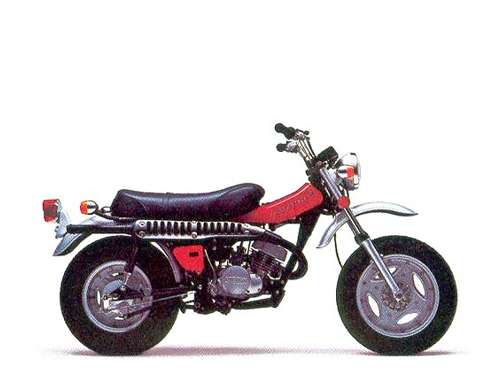 RV 125  2-Takt 1973-1981 (RV125)